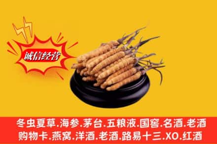 许昌魏都区名酒回收冬虫夏草.jpg